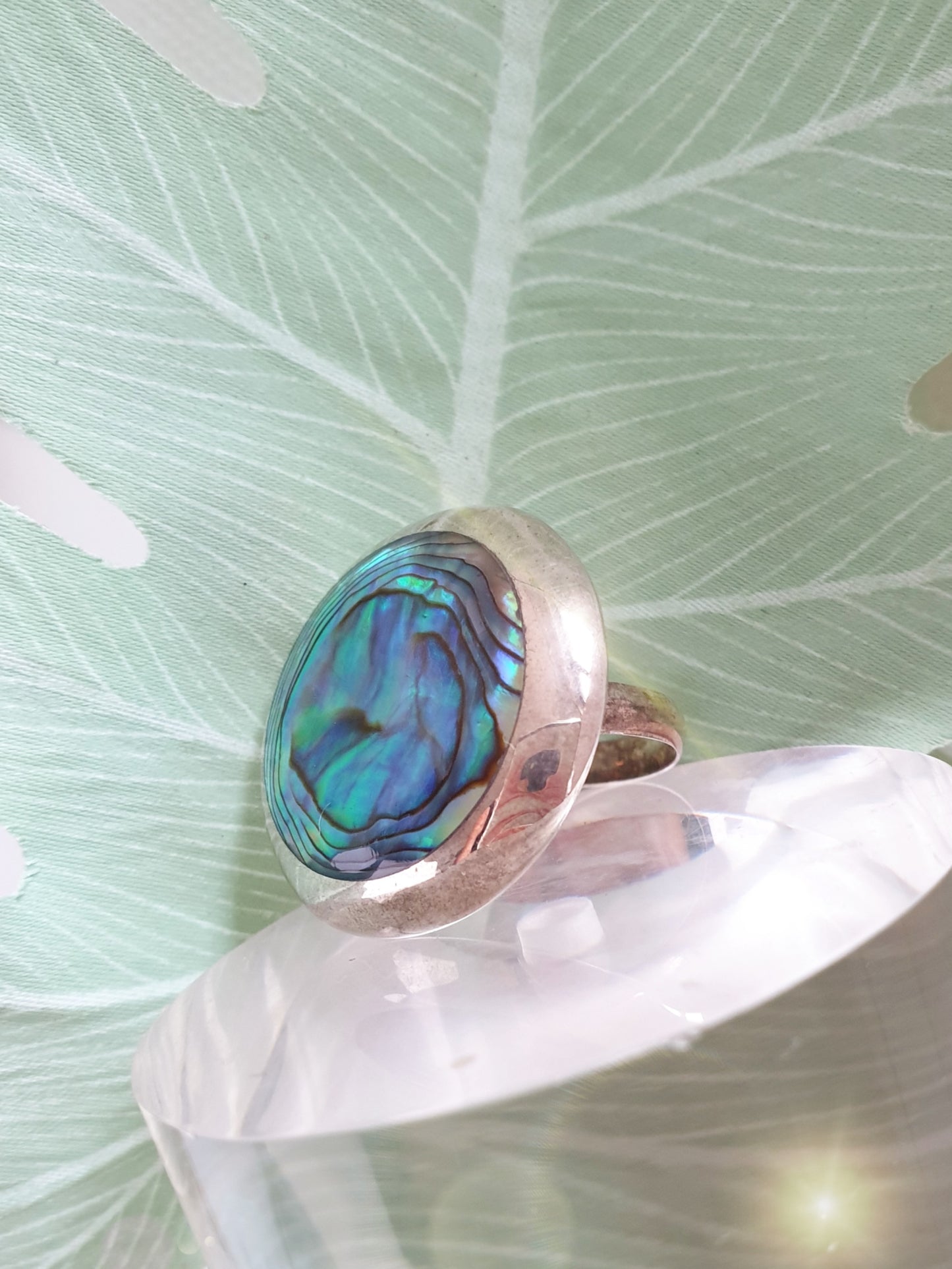 Silberring mit großer runder Paua Muschel