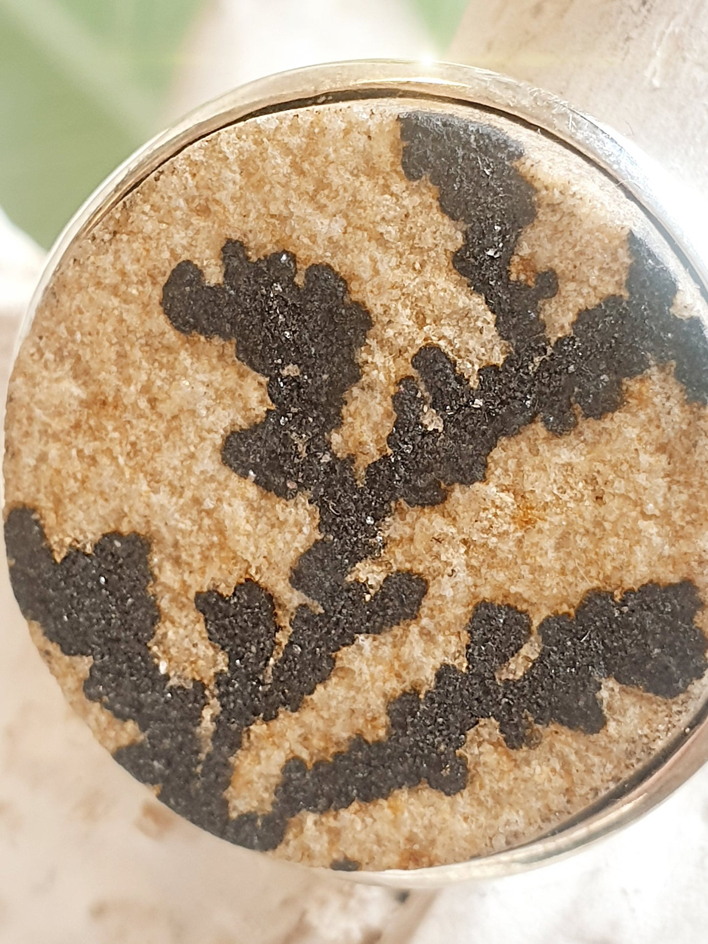 Silberring mit großem rundem Stein mit fossiler Pflanze Nahaufnahme