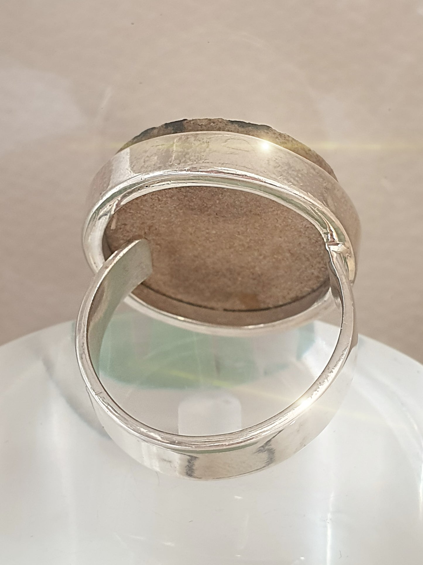 Silberring mit großem rundem Stein mit fossiler Pflanze Rückseite