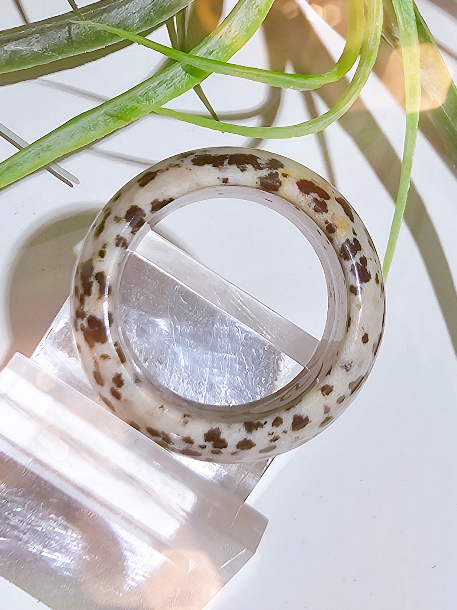 ring-edelsteinring-dalamtinerjaspis-1