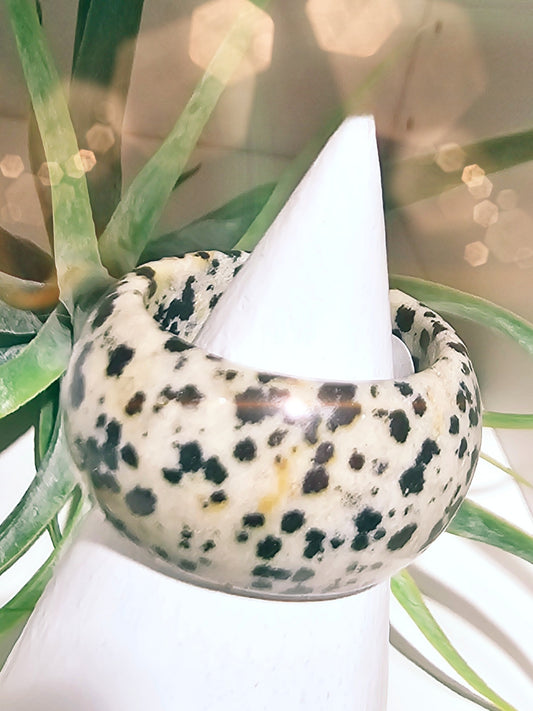 ring-edelsteinring-dalamtinerjaspis-1