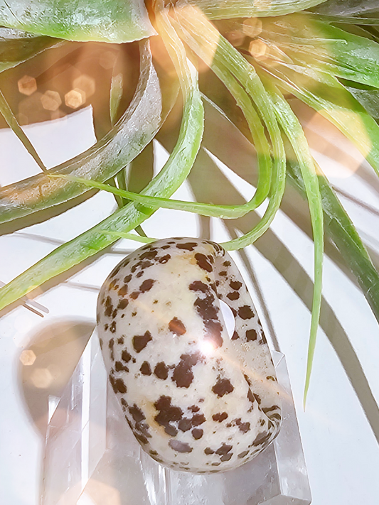 ring-edelsteinring-dalamtinerjaspis-1