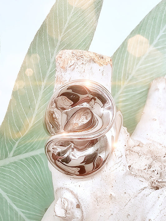 ring-edestahl-silber-glaenzend-gross-1