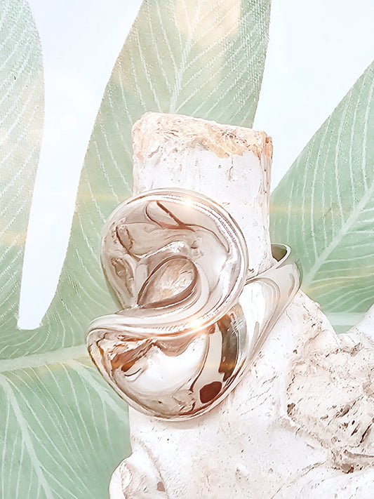 ring-edestahl-silber-glaenzend-gross-1