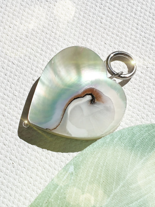 anhaenger-herz-nautilus-muschel-perlmutt-1