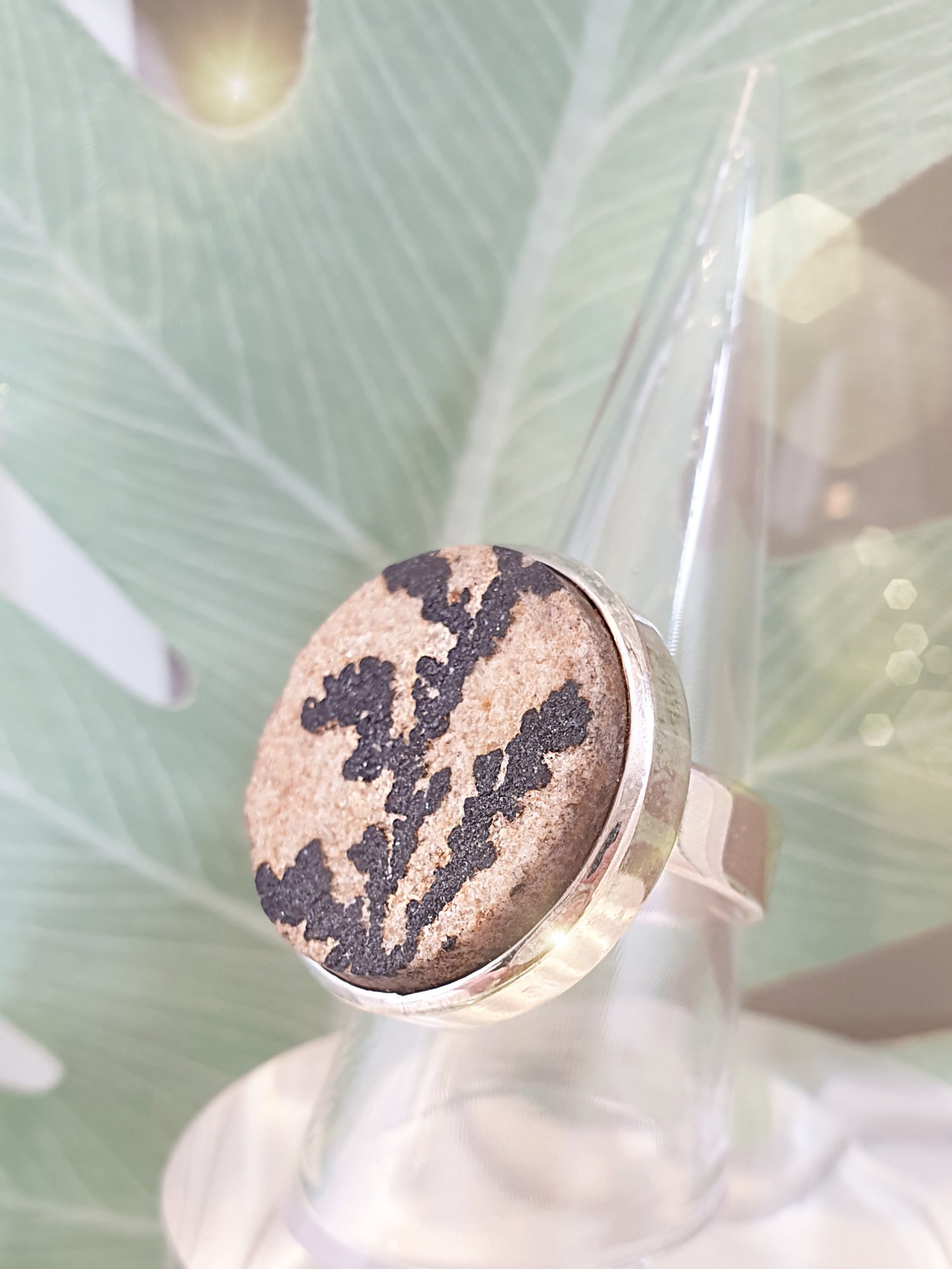 Silberring mit großem rundem Stein mit fossiler Pflanze