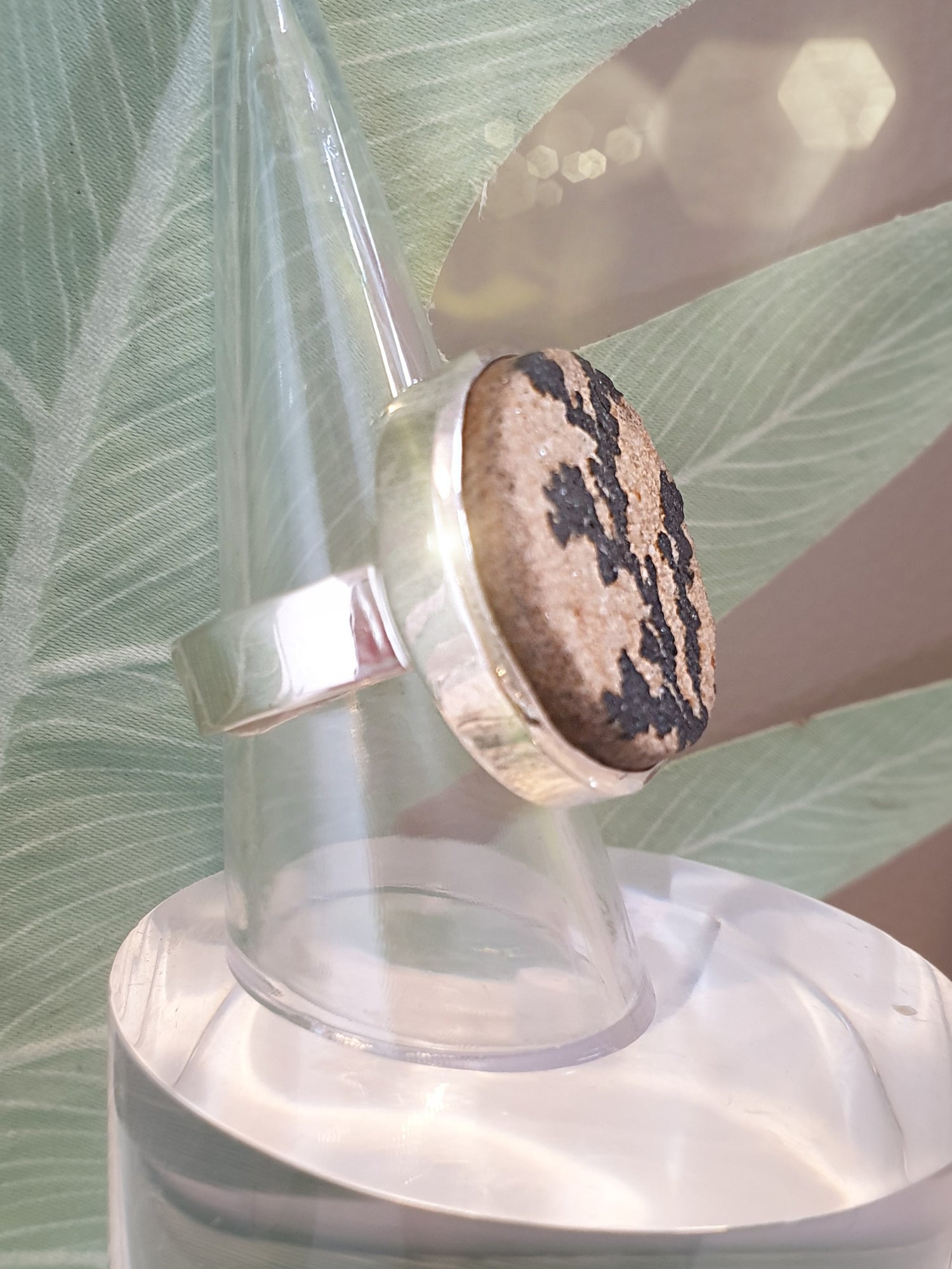 Silberring mit großem rundem Stein mit fossiler Pflanze Seite